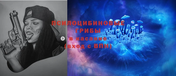 бошки Володарск
