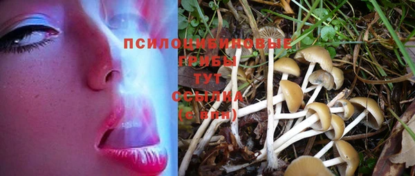 бошки Володарск
