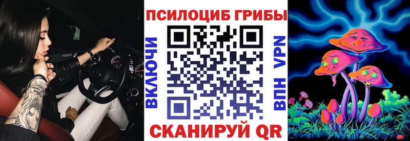 Купить закладки  Апшеронск  Псилоцибиновые грибы мицелий 